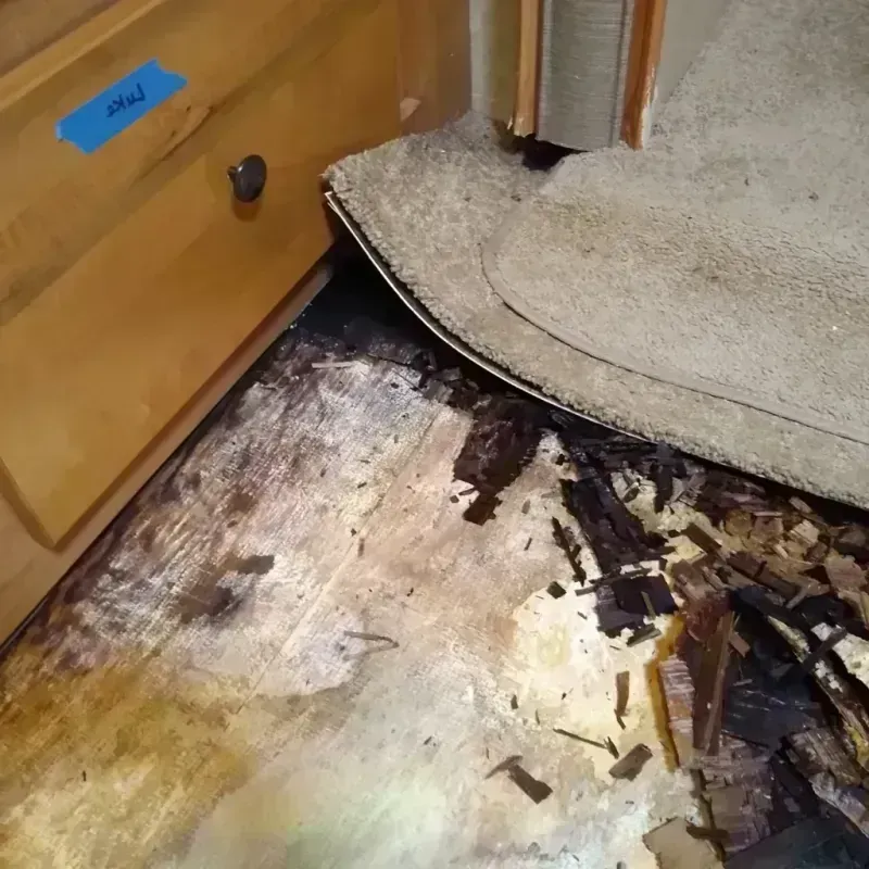 Wood Floor Water Damage in Lyndhurst, OH